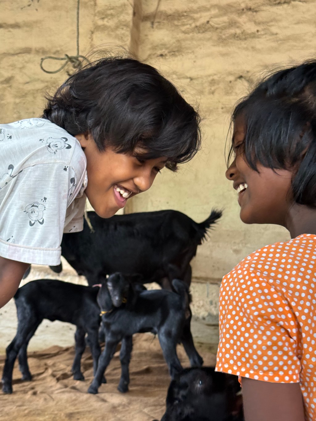 Éducation Non-Formelle et Informelle : Apprendre la Vie au-delà des Livres